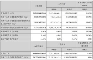 寧德時代上半年業績亮眼 凈利21.02億，動力電池系統銷售收入達168.92億