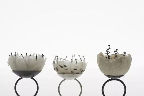 珠寶設(shè)計(jì)新思維 聯(lián)合材料創(chuàng)意與你相約野生國際暑期課